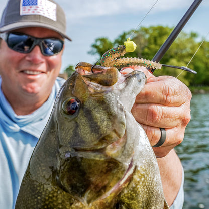 RAPALA CRUSHCITY NED BLT SOFTBAIT