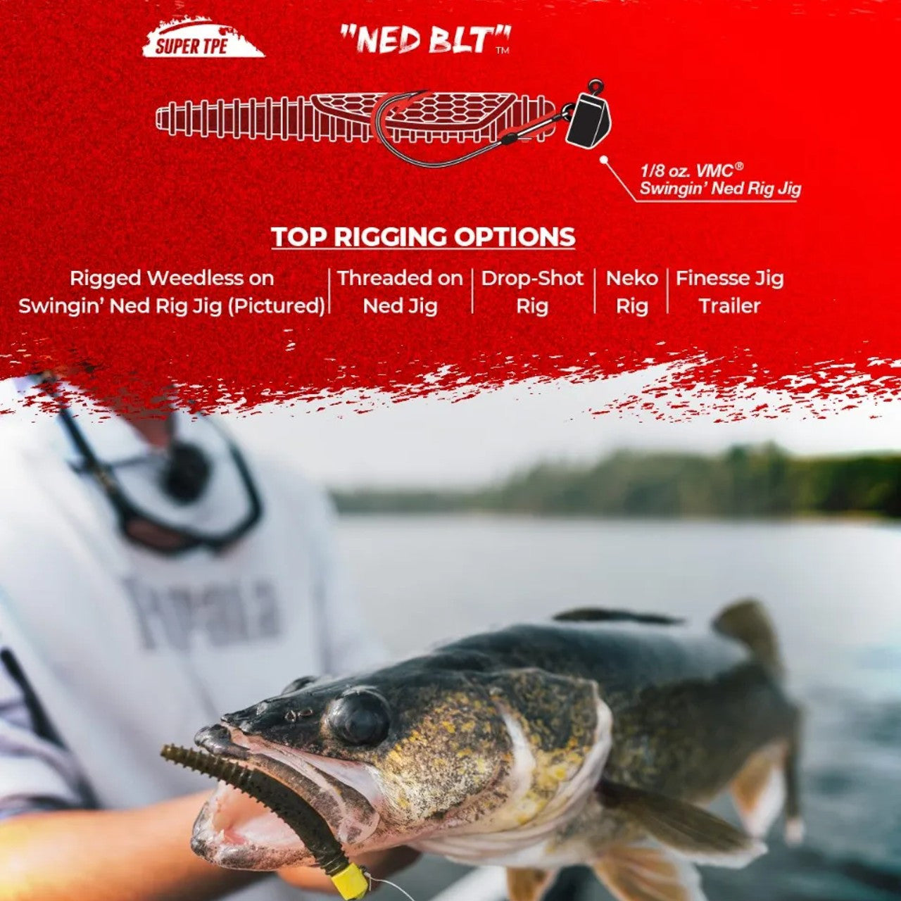 RAPALA CRUSHCITY NED BLT SOFTBAIT