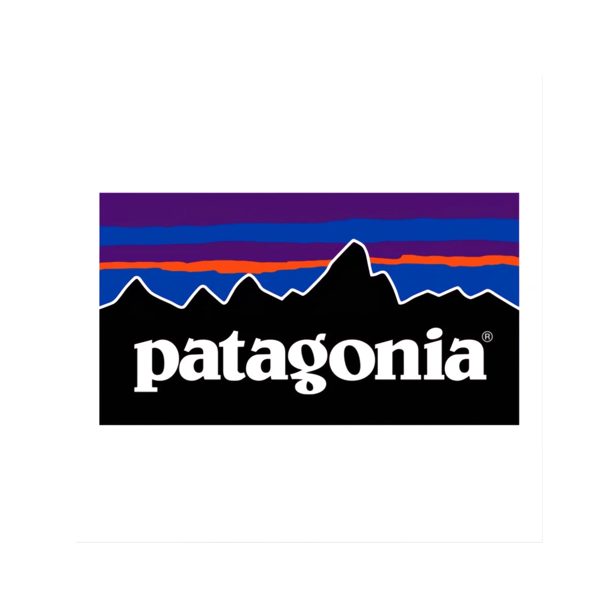 PATAGONIA CASTING LOGO RESPONSIBILI-TEE