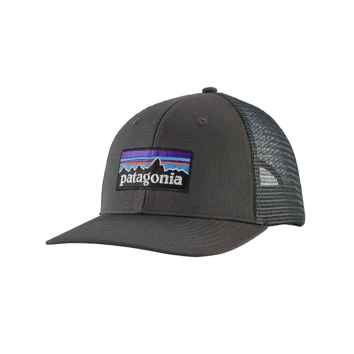 PATAGONIA P-6 LOGO TRUCKER HAT