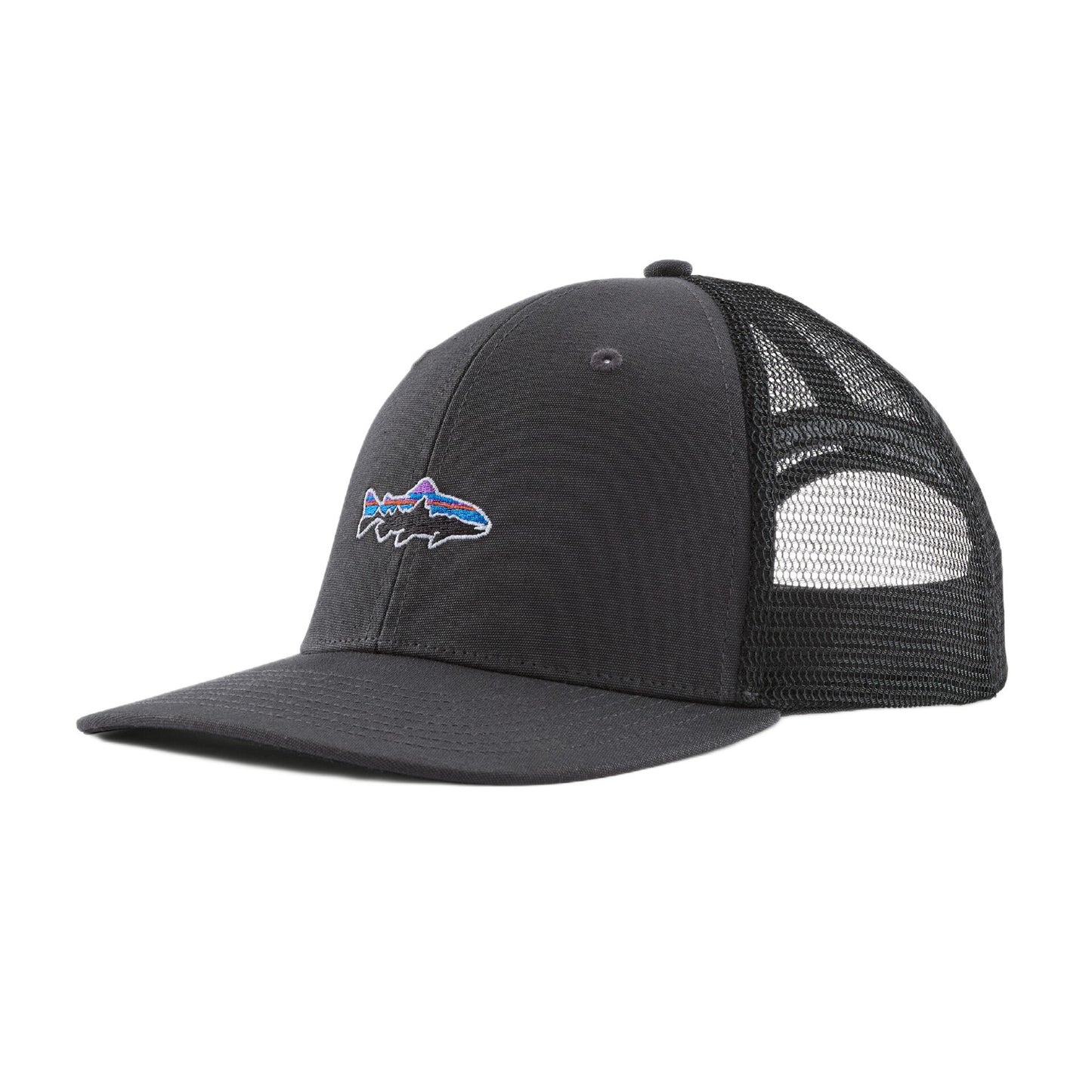 PATAGONIA TAKE A STAND TRUCKER HAT