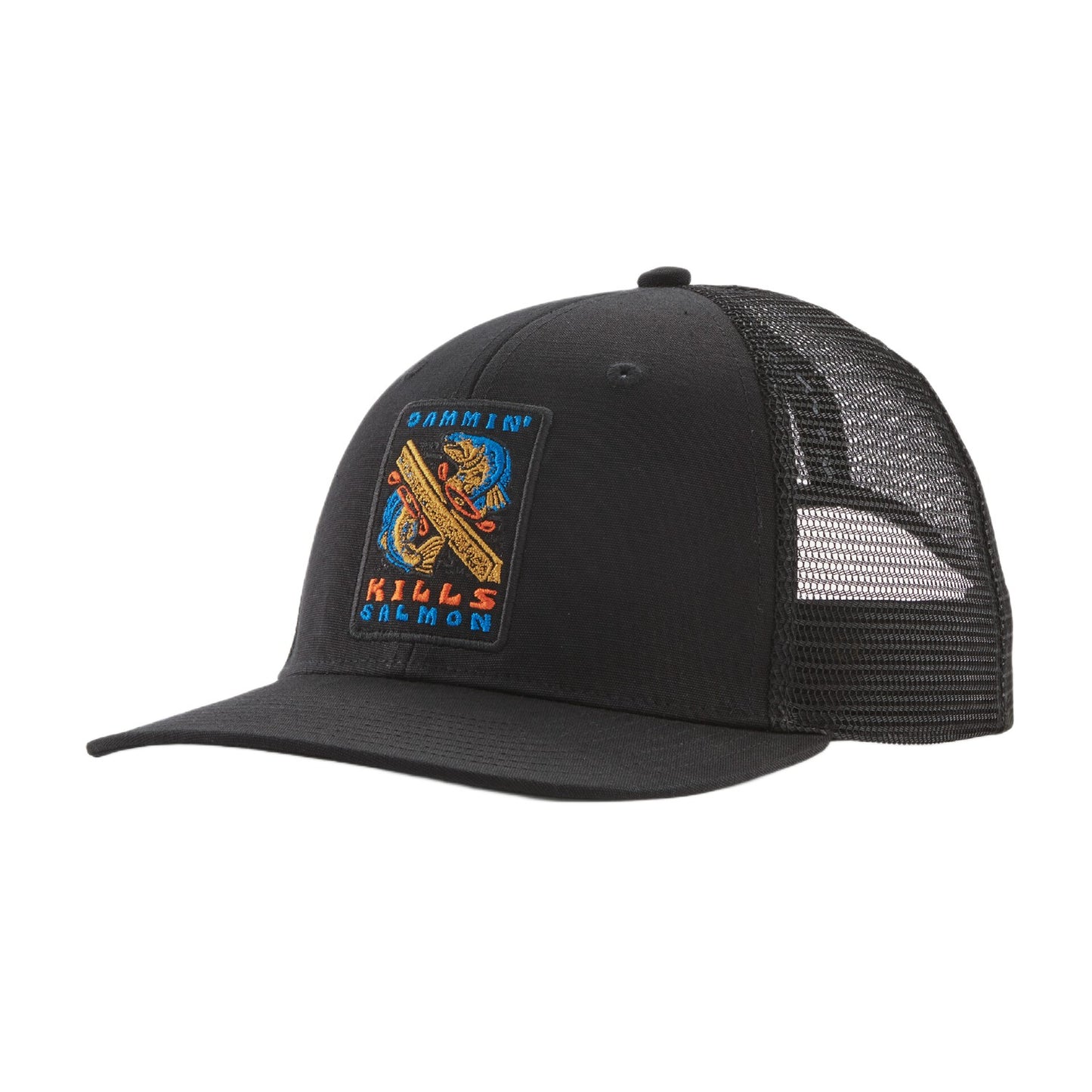PATAGONIA TAKE A STAND TRUCKER HAT