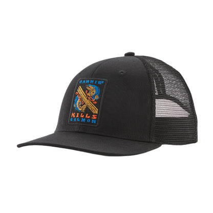 PATAGONIA TAKE A STAND TRUCKER HAT