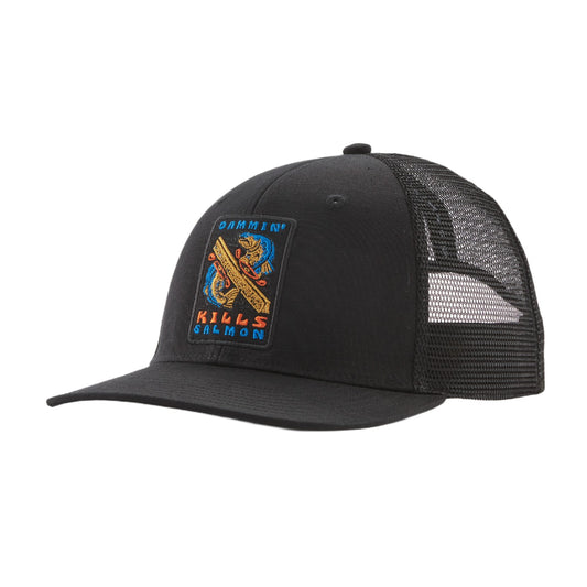 PATAGONIA TAKE A STAND TRUCKER HAT