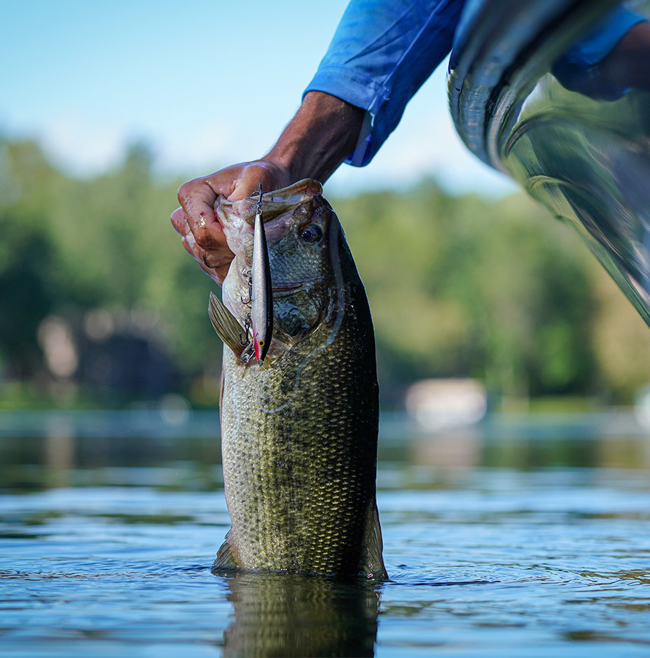 RAPALA ORIGINAL FLOATING HARD BAIT