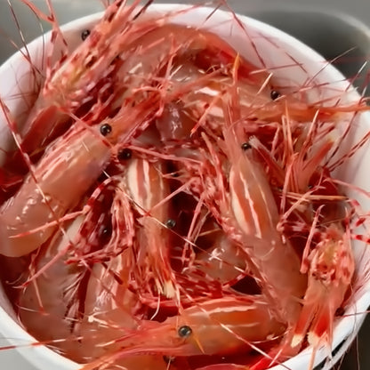 PRAWN SYRUP / SCENT 1L 100% NATURAL FISH OIL
