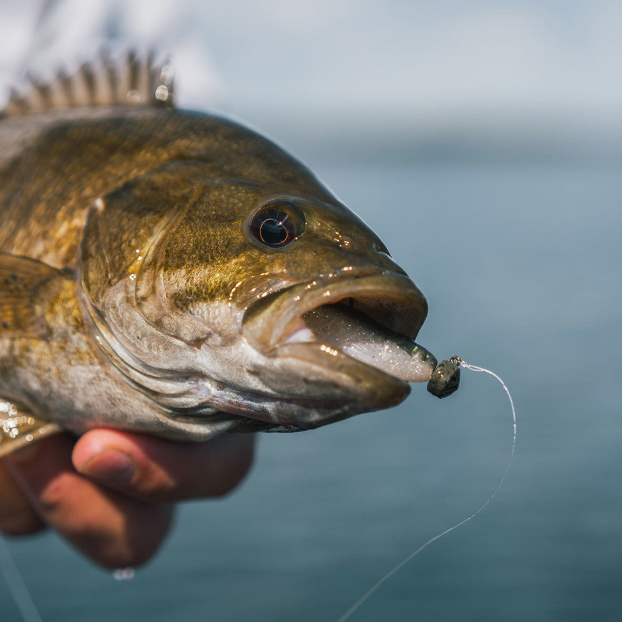 RAPALA CRUSHCITY THE SUSPECT