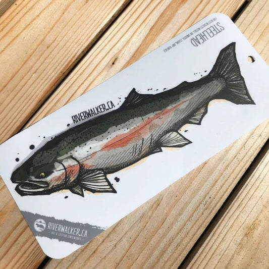 STEELHEAD LARGE DECAL