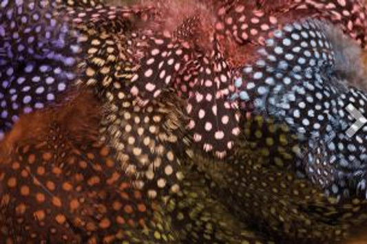 HARELINE STRUNG GUINEA FEATHERS