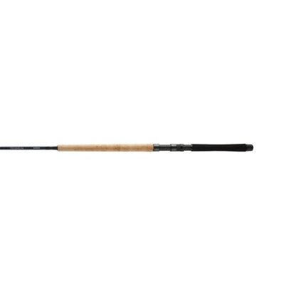 SHIMANO TECHNIUM MOOCHING ROD 2024