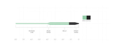 SA WETCEL SINK TIP FLY LINE