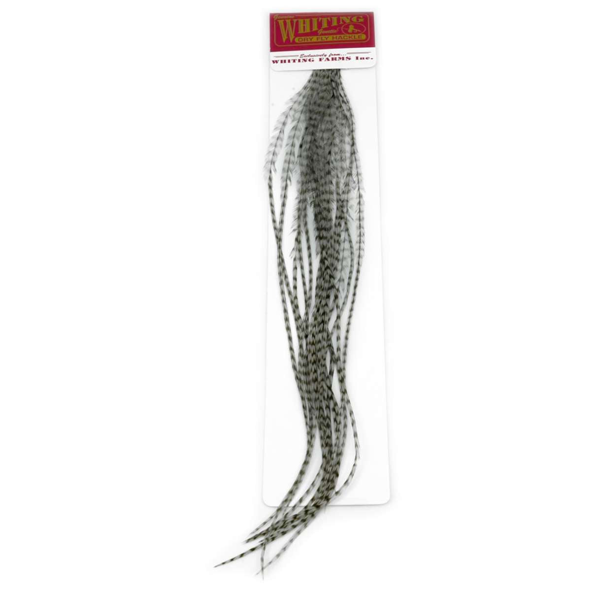 MFC WHITING 100 PACK DRY FLY HACKLE
